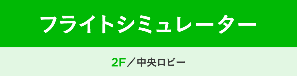 フライトシュミレーター