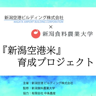 新潟空港ビルディング㈱×新潟食料農業大学のコラボ企画『新潟空港米（まい）育成プロジェクト』のお知らせ