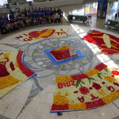 「新潟空港を花絵で飾ろう 2019」開催について