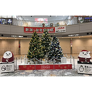 新潟空港のクリスマスツリー♪